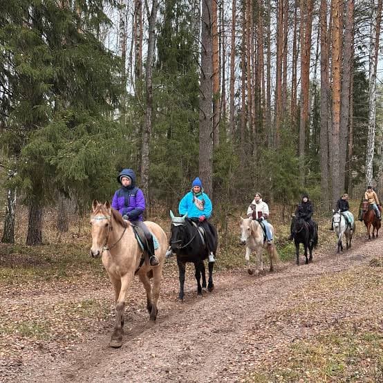 Конные прогулки в парке Тверицкий бор